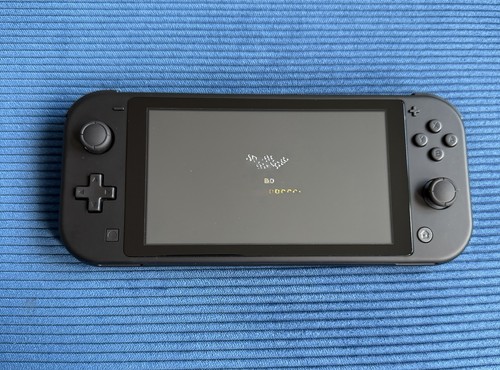 Nintendo switch lite - nintendo,